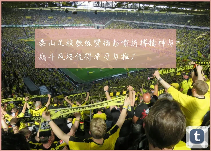 泰山足校教练赞扬彭啸拼搏精神与战斗风格值得学习与推广